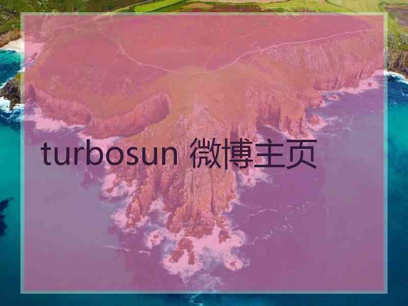 turbosun 微博主页