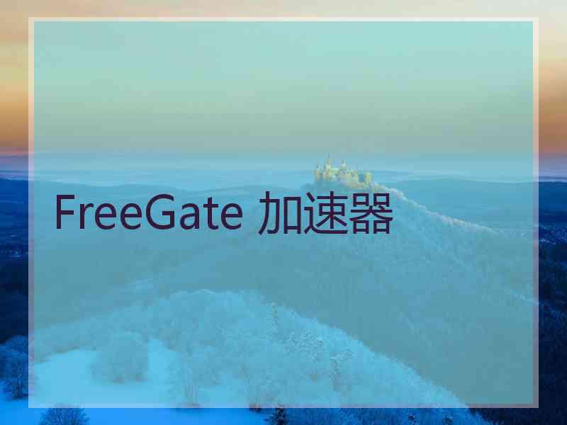 FreeGate 加速器