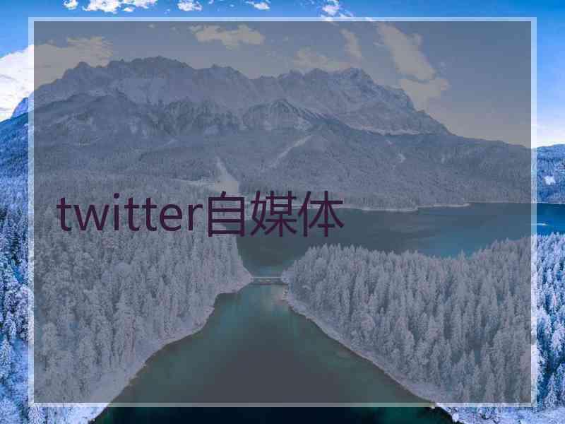 twitter自媒体