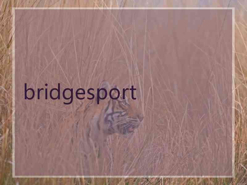 bridgesport