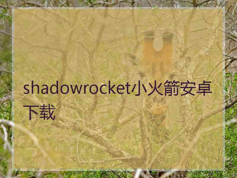 shadowrocket小火箭安卓下载