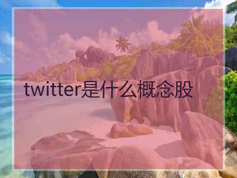 twitter是什么概念股