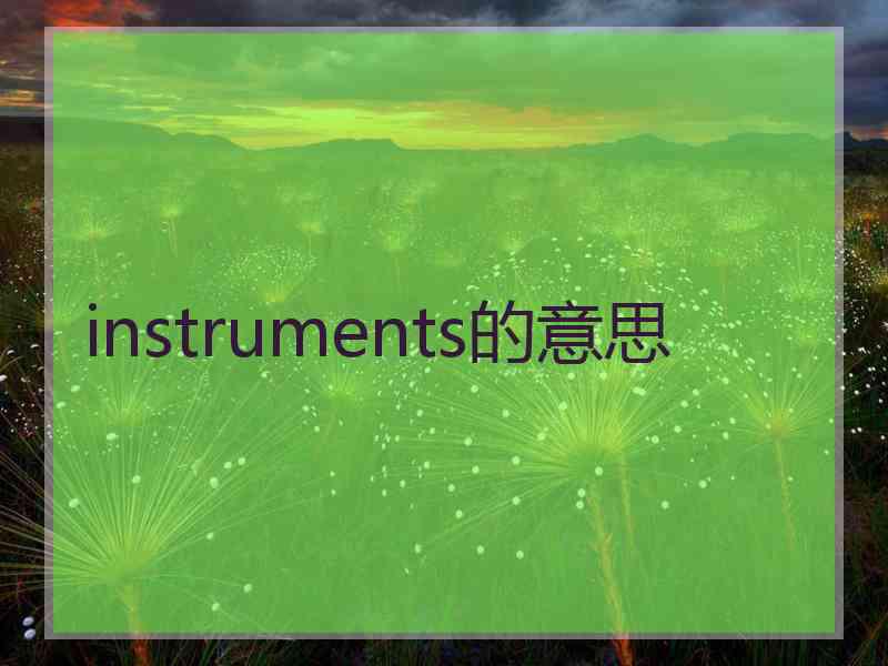 instruments的意思