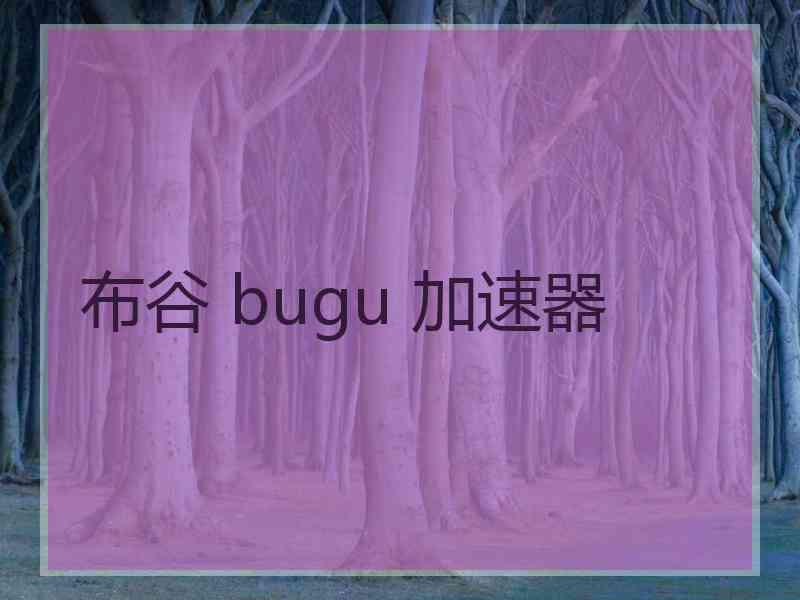 布谷 bugu 加速器