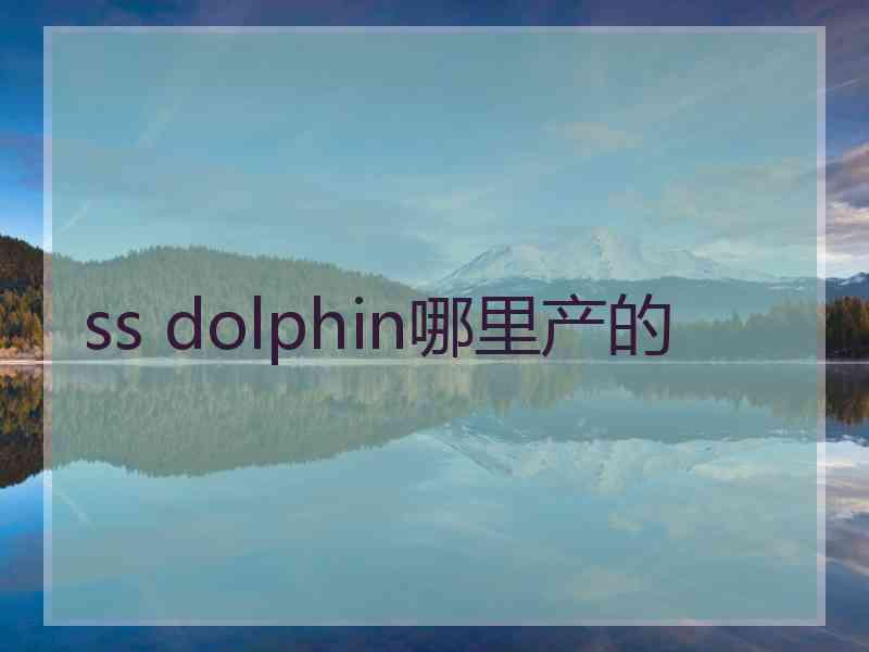 ss dolphin哪里产的