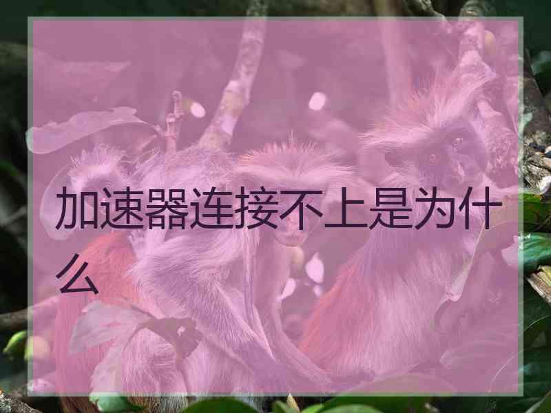 加速器连接不上是为什么