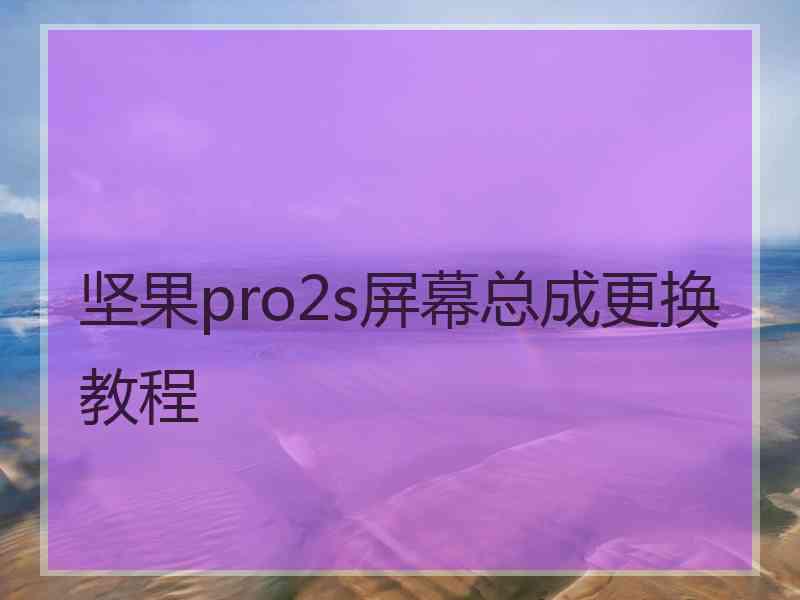 坚果pro2s屏幕总成更换教程