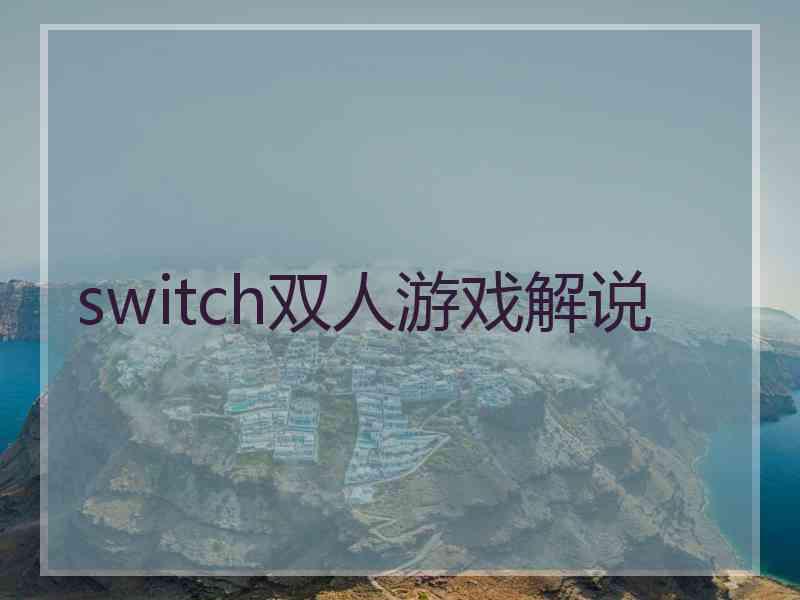 switch双人游戏解说