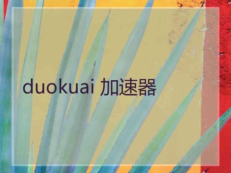 duokuai 加速器