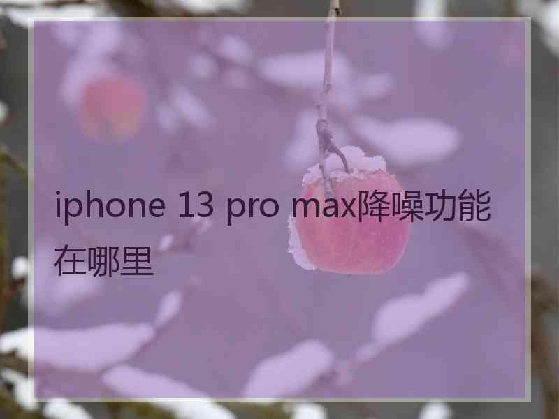 iphone 13 pro max降噪功能在哪里