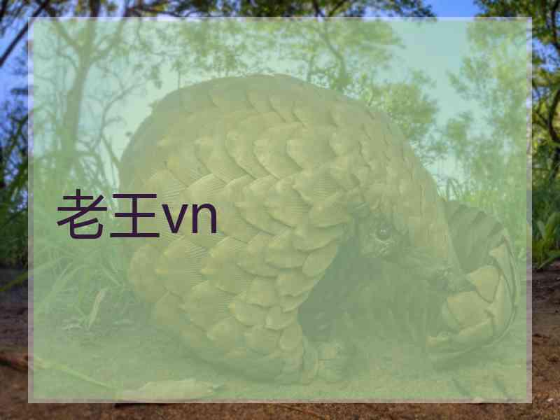 老王vn