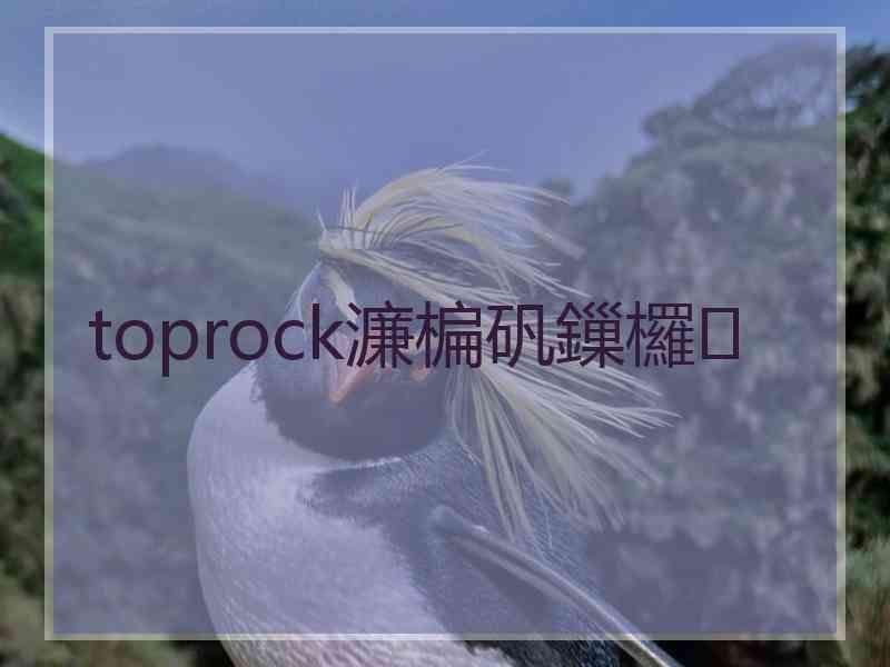 toprock濂楄矾鏁欏