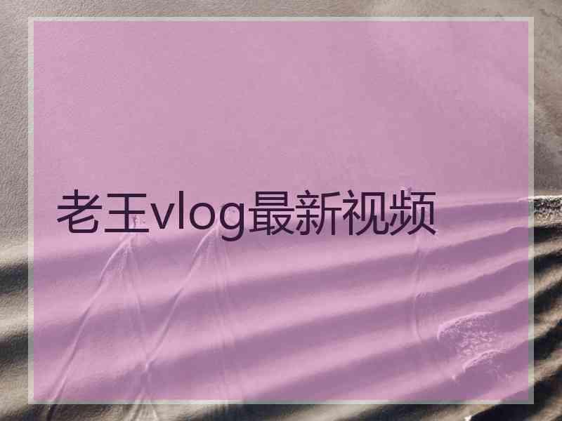 老王vlog最新视频