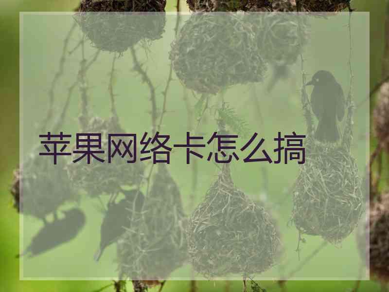 苹果网络卡怎么搞