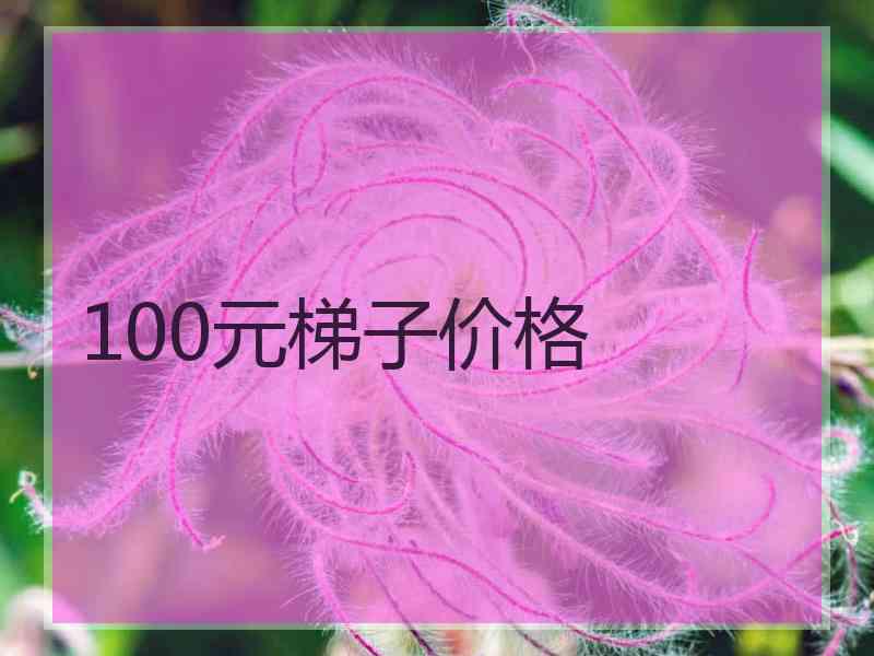 100元梯子价格