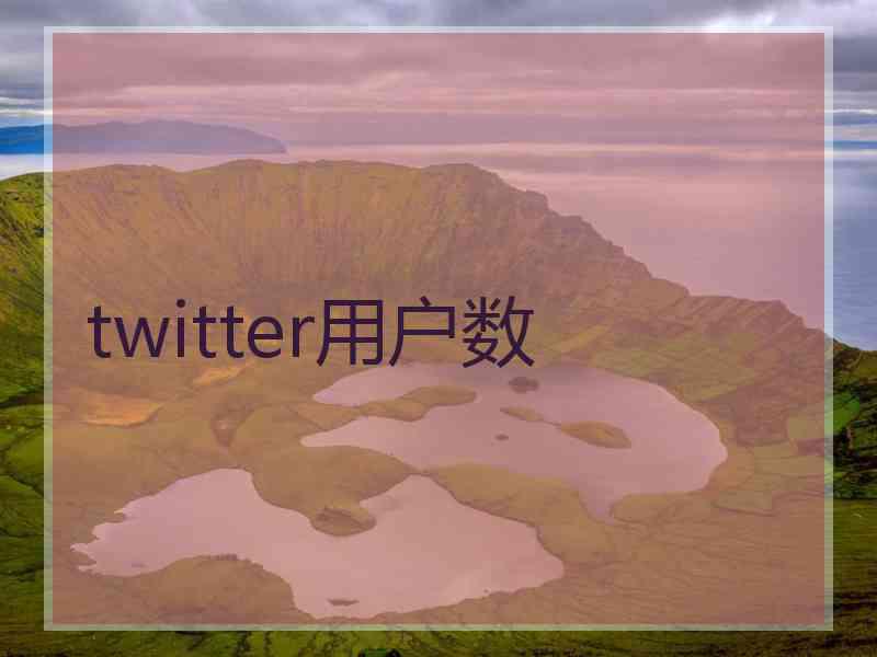 twitter用户数