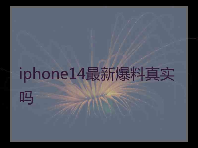 iphone14最新爆料真实吗