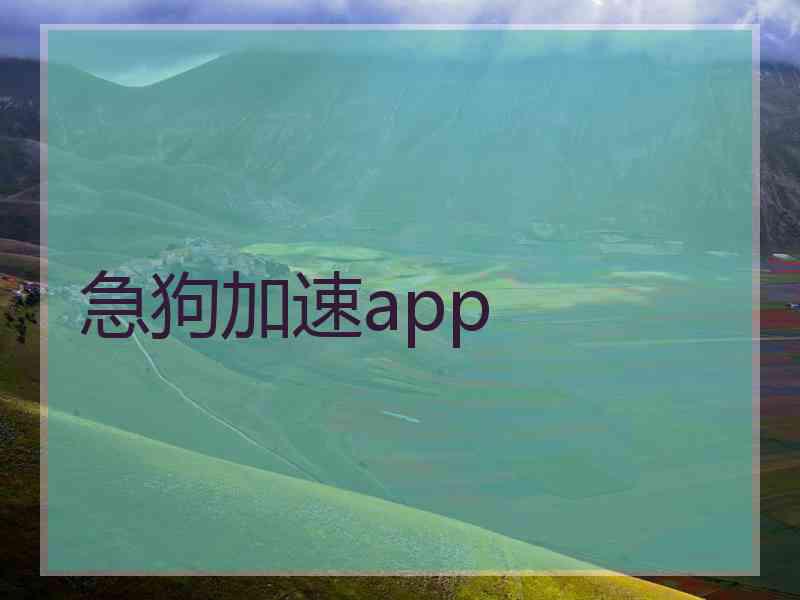 急狗加速app