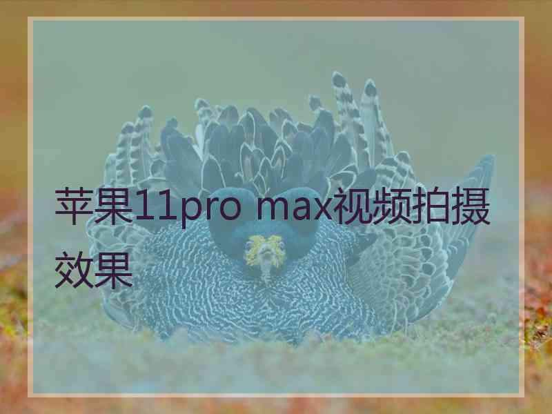 苹果11pro max视频拍摄效果