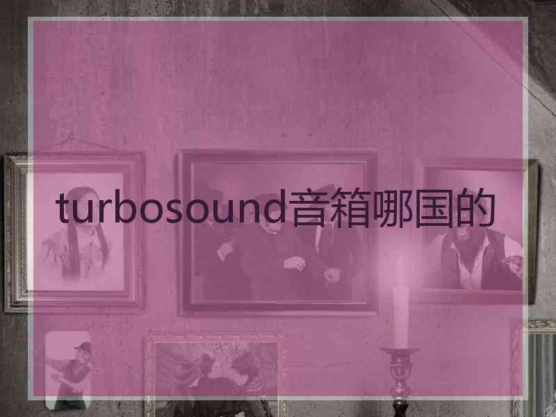 turbosound音箱哪国的