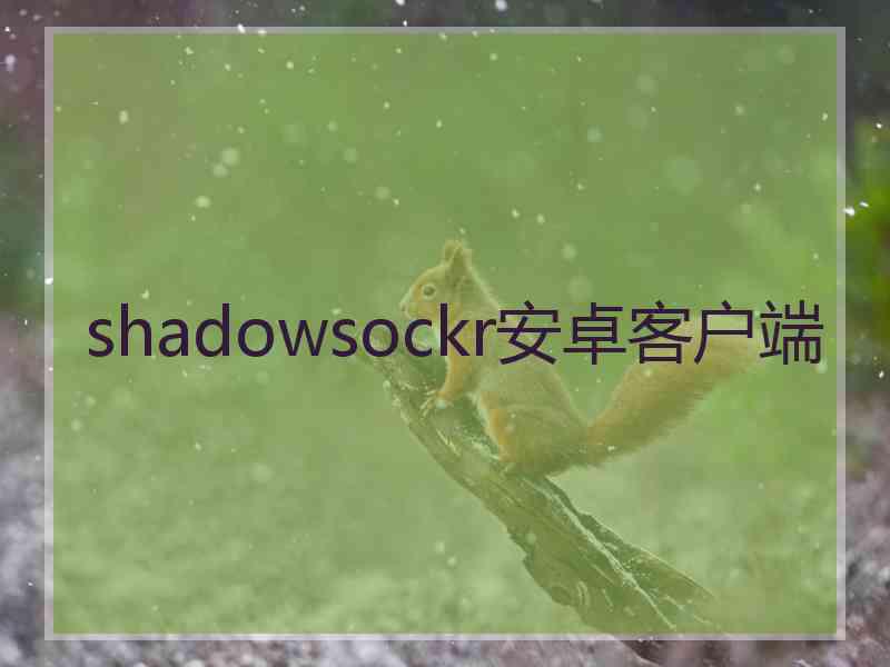 shadowsockr安卓客户端