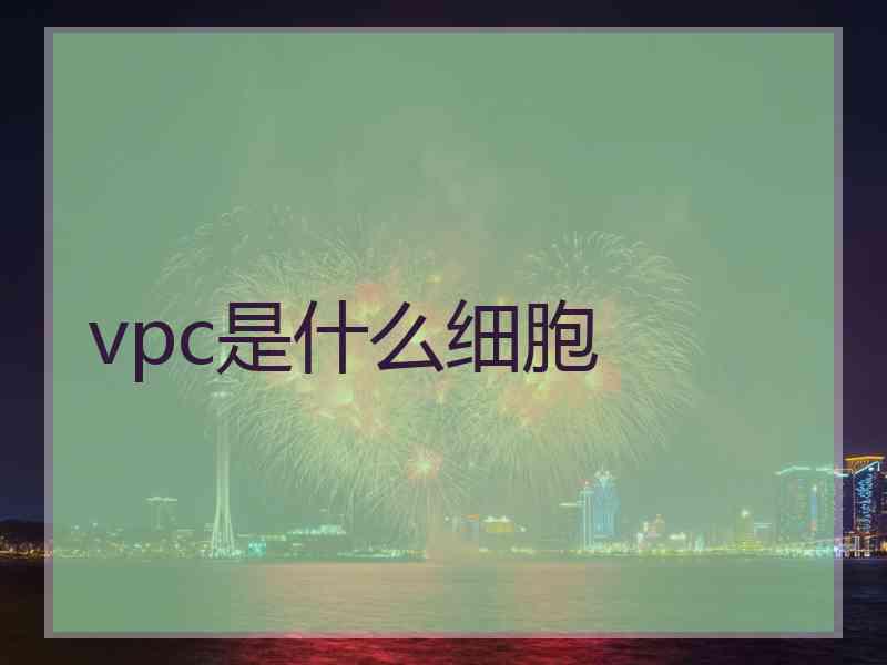 vpc是什么细胞