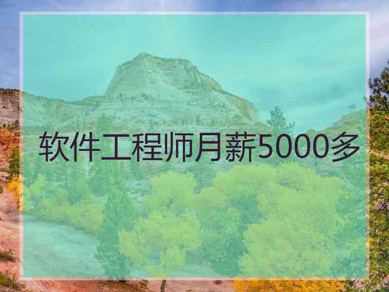 软件工程师月薪5000多