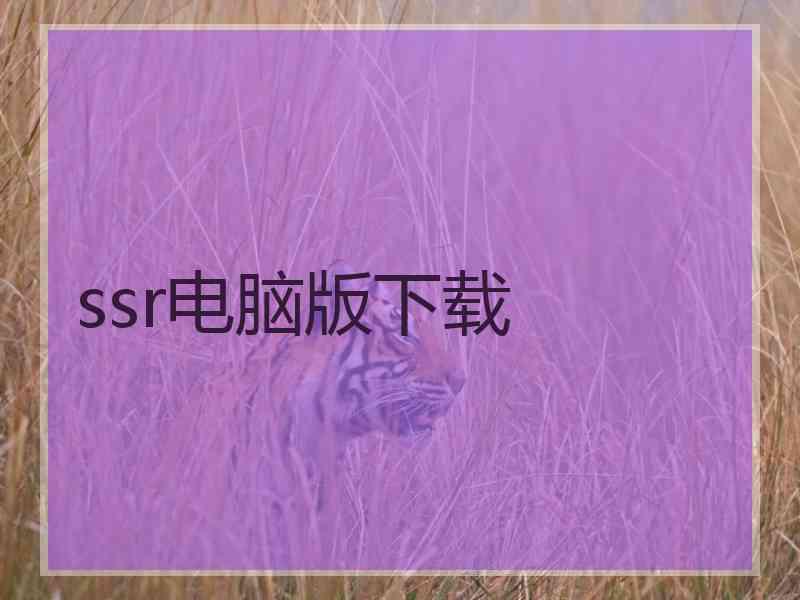 ssr电脑版下载