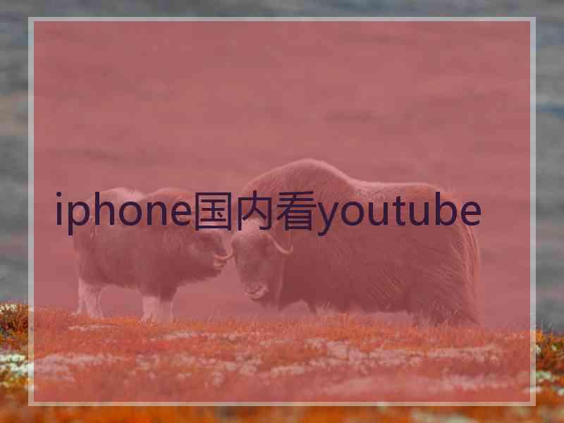 iphone国内看youtube