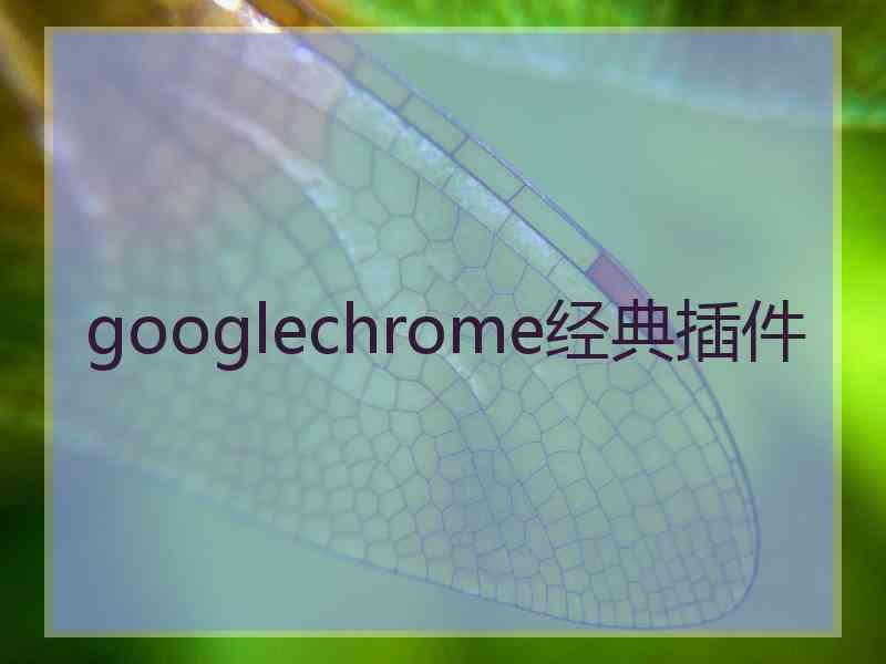 googlechrome经典插件