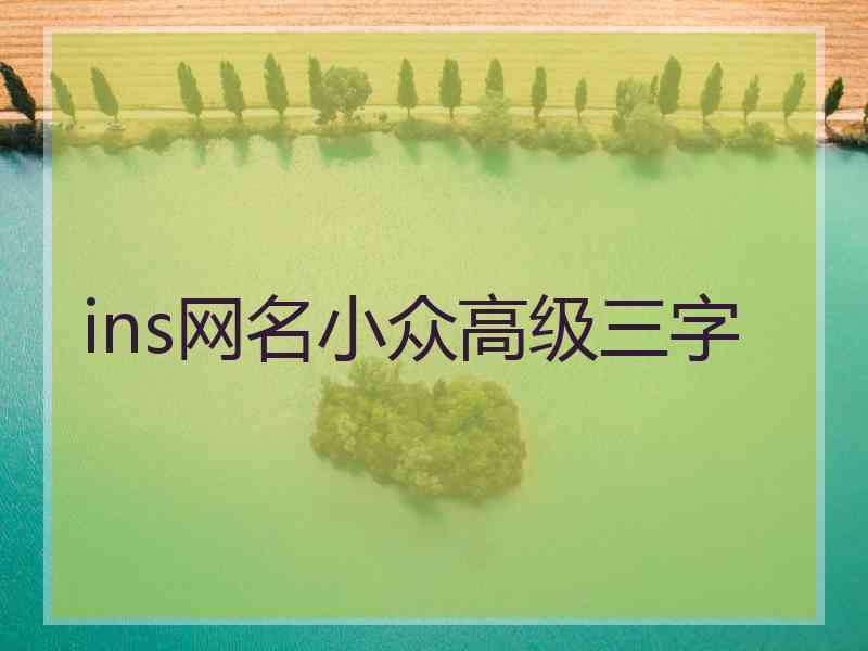 ins网名小众高级三字