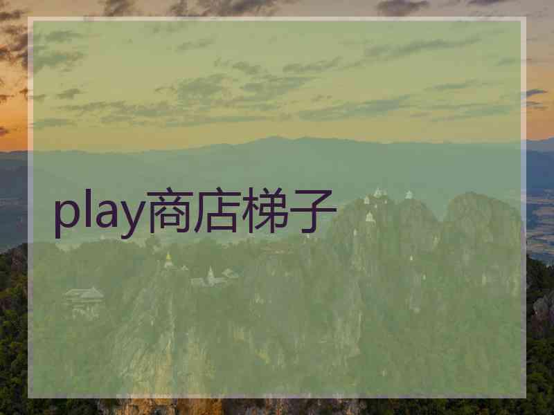 play商店梯子