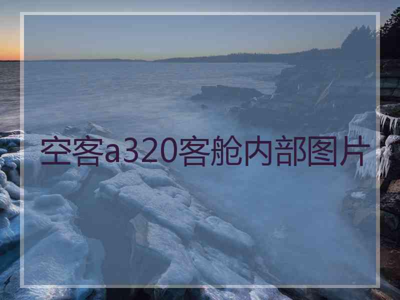 空客a320客舱内部图片