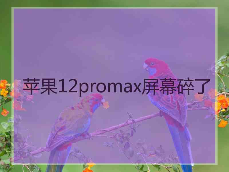 苹果12promax屏幕碎了