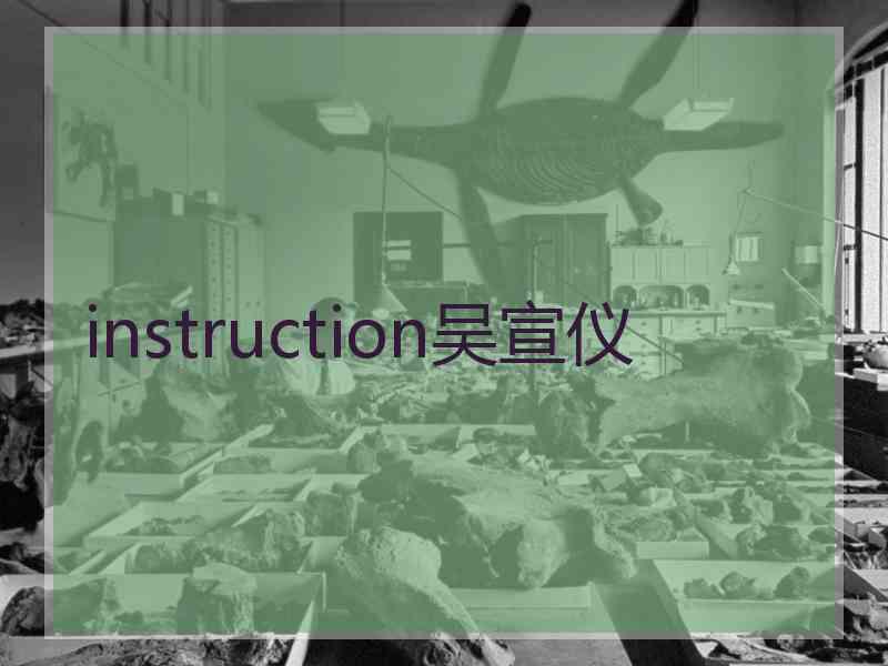 instruction吴宣仪