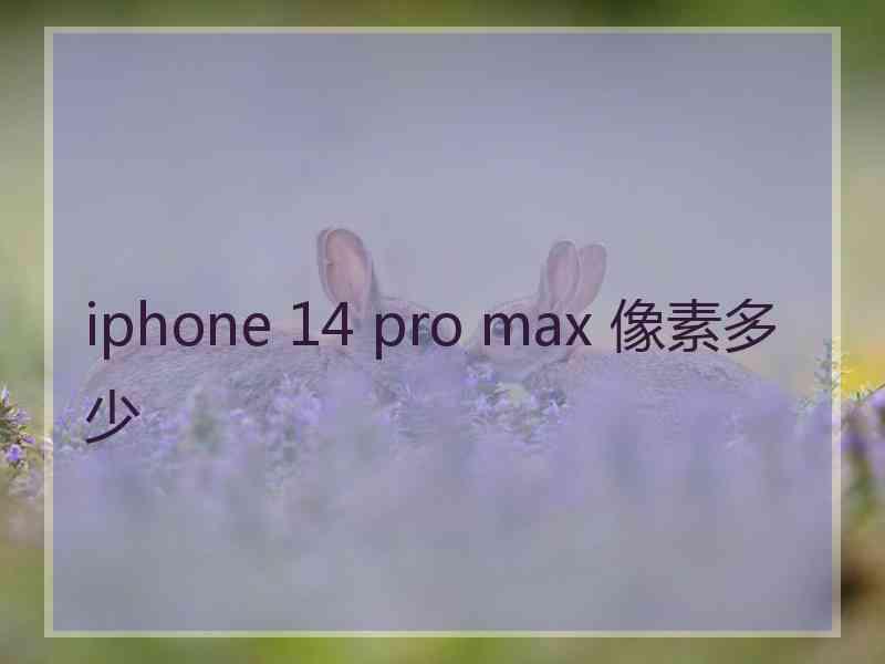 iphone 14 pro max 像素多少