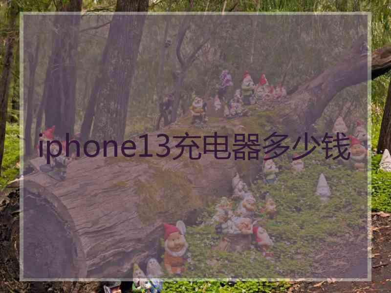 iphone13充电器多少钱