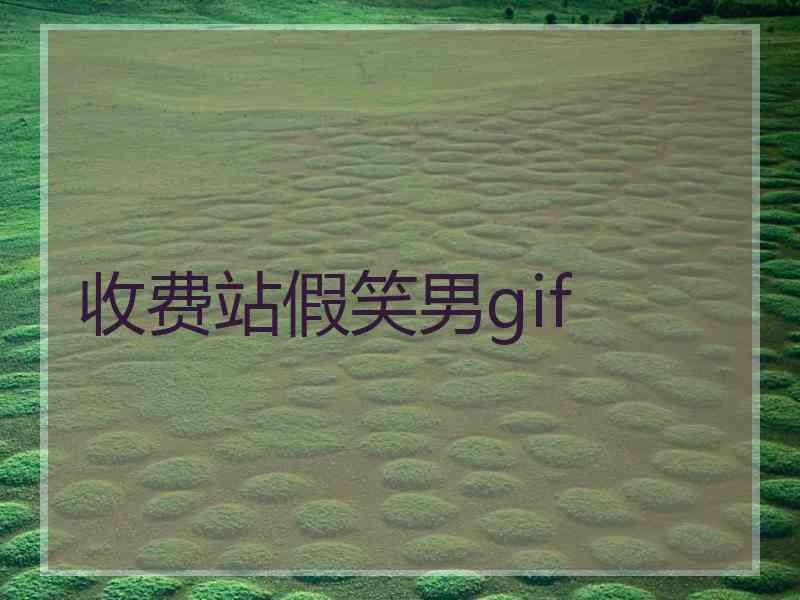 收费站假笑男gif