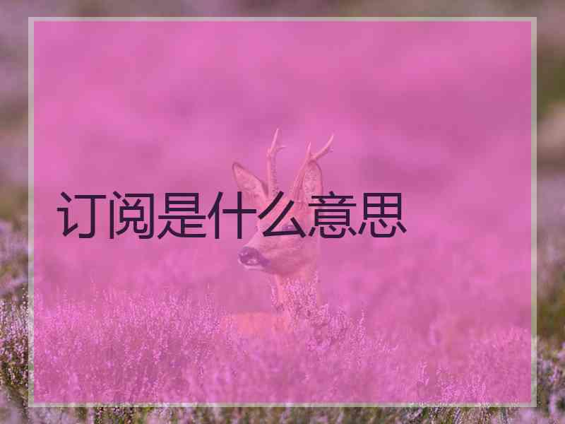 订阅是什么意思