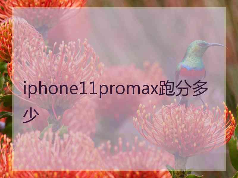 iphone11promax跑分多少