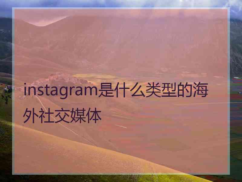 instagram是什么类型的海外社交媒体