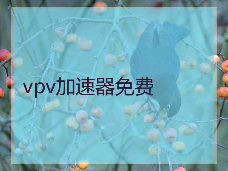 vpv加速器免费