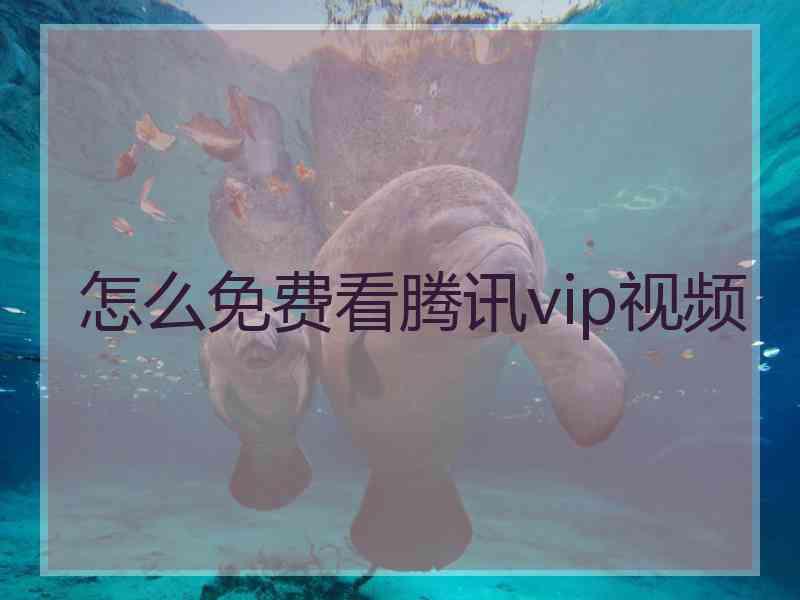 怎么免费看腾讯vip视频