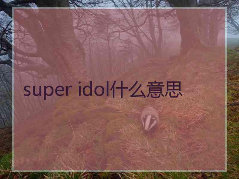 super idol什么意思