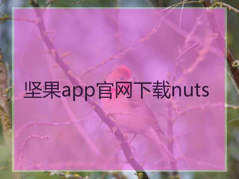 坚果app官网下载nuts