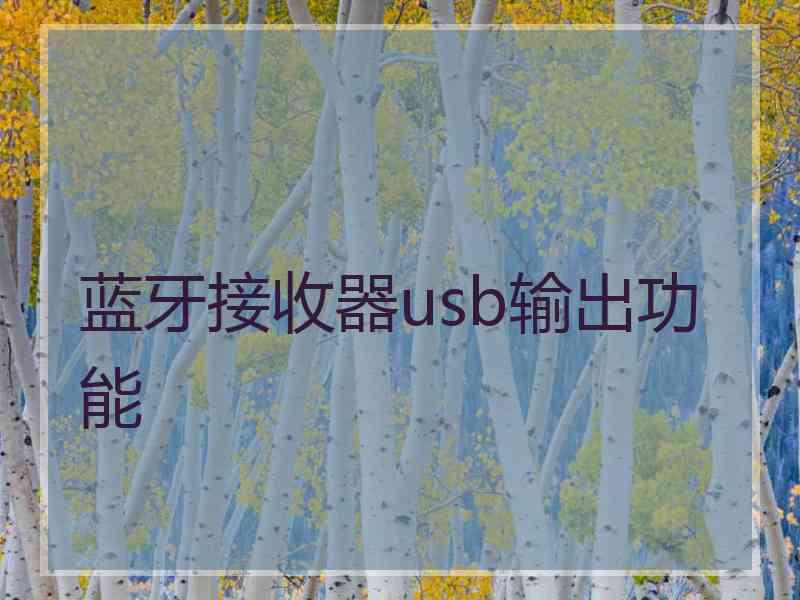 蓝牙接收器usb输出功能