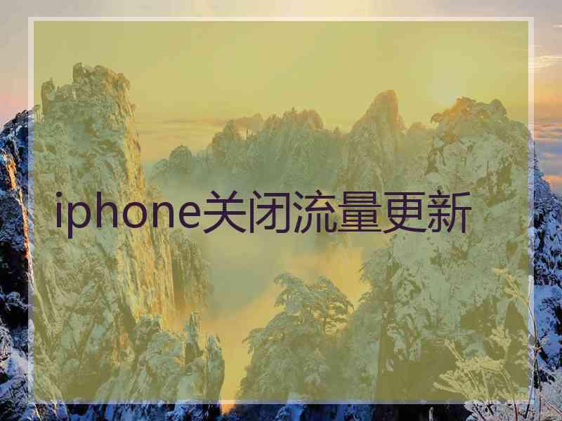 iphone关闭流量更新