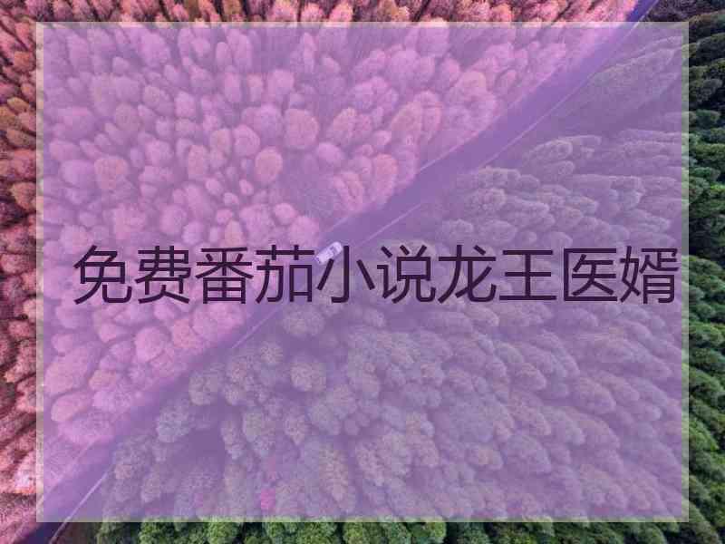 免费番茄小说龙王医婿