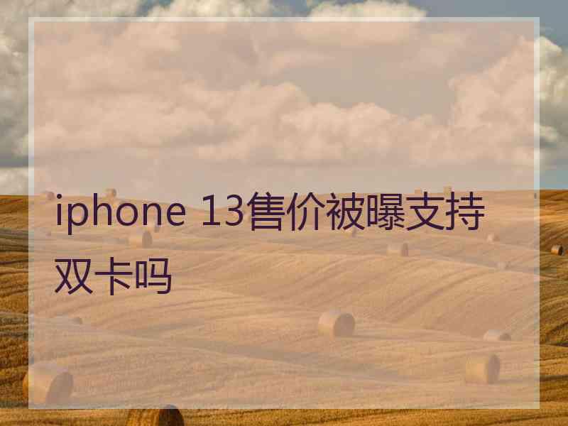 iphone 13售价被曝支持双卡吗