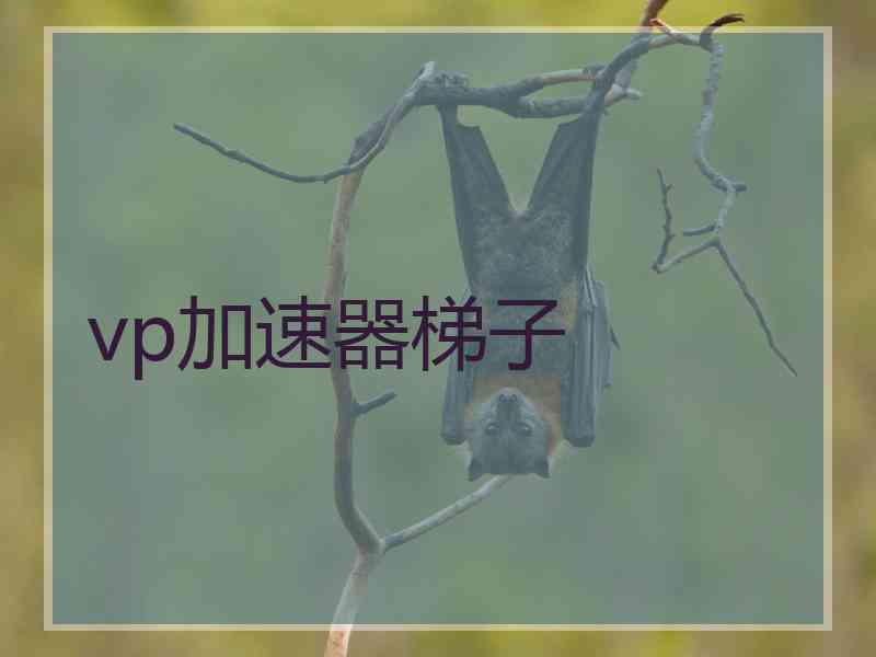 vp加速器梯子